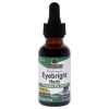 Eyebright Herb AF - 2000mg by Natures Answer for Unisex - 1 oz Dietary Supplement