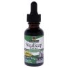 Skullcap Extract AF - 2000mg by Natures Answer for Unisex - 1 oz Dietary Supplement