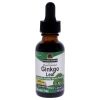 Ginkgo Leaf AF - 2000mg by Natures Answer for Unisex - 1 oz Dietary Supplement