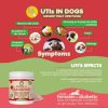 Dog Cranberry Supplement Natural Dog UTI Treatment Kidney Support for Dogs Supplement Powder Same as Cranberry Pills for Dogs Puppy Supplies for Dog P